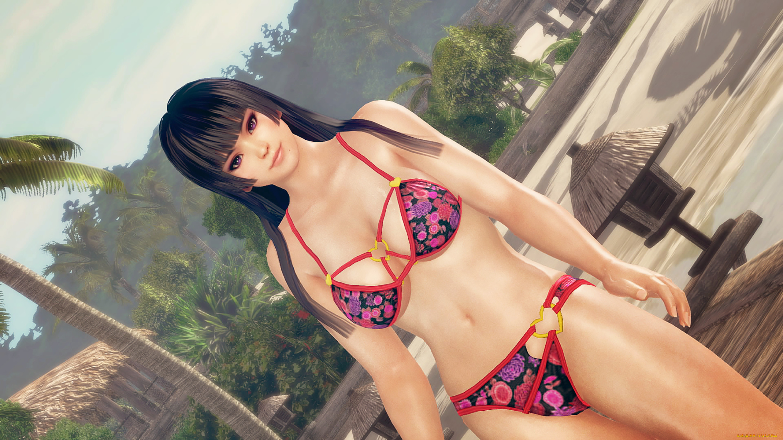 3 6 girls. Девушки из Dead or Alive 3 Doa. Dead or Alive 5 этти. Dead or Alive 4 девушки. Honoka Dead or Alive 5 бикини.